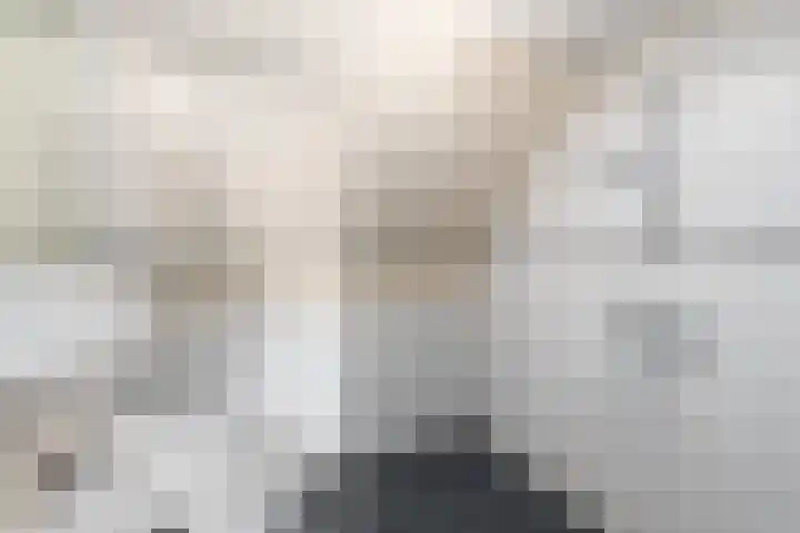 Pealskar 16 Joure thumbnail 24