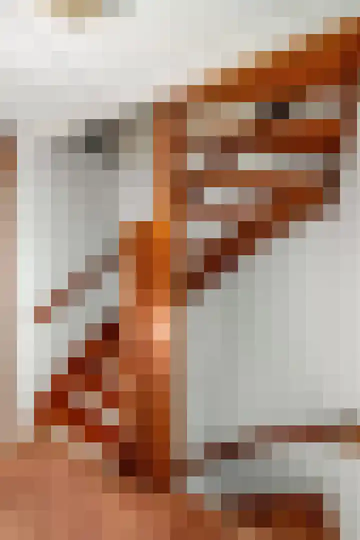 Pealskar 16 Joure thumbnail 27