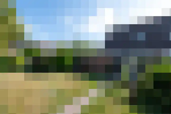 Pealskar 16 Joure thumbnail 30