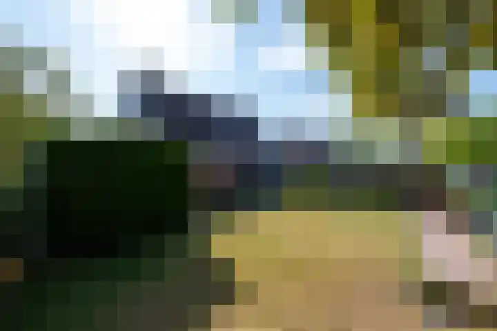 Pealskar 16 Joure thumbnail 31
