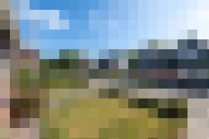 Pealskar 16 Joure thumbnail 33