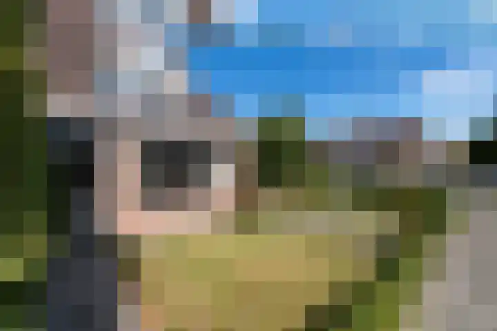 Pealskar 16 Joure thumbnail 34