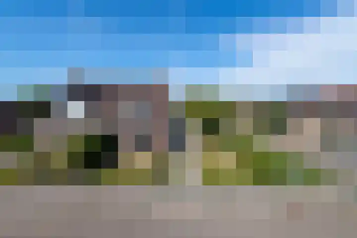 Pealskar 16 Joure thumbnail 36