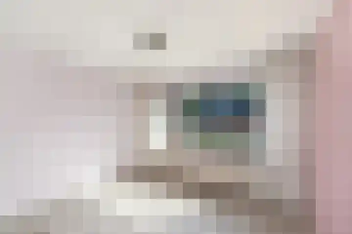 Pealskar 16 Joure thumbnail 6