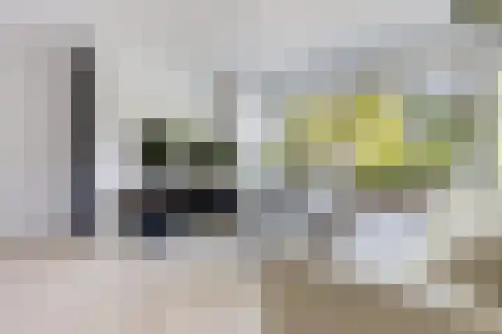 Pealskar 40 Joure thumbnail 11