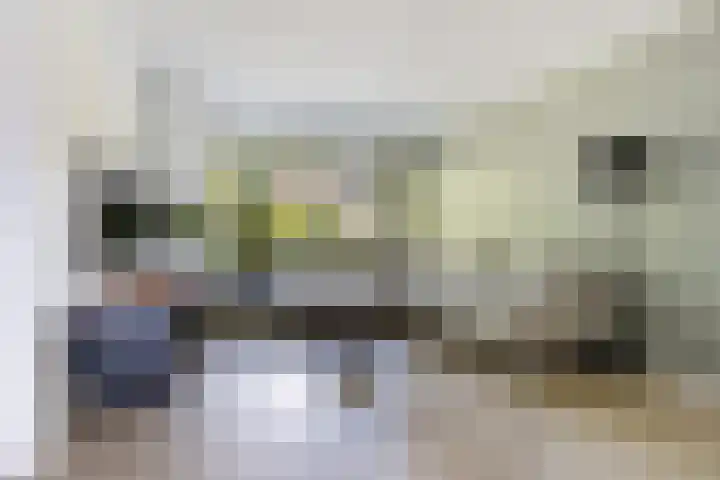 Pealskar 40 Joure thumbnail 12