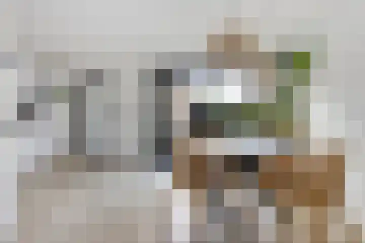 Pealskar 40 Joure thumbnail 14