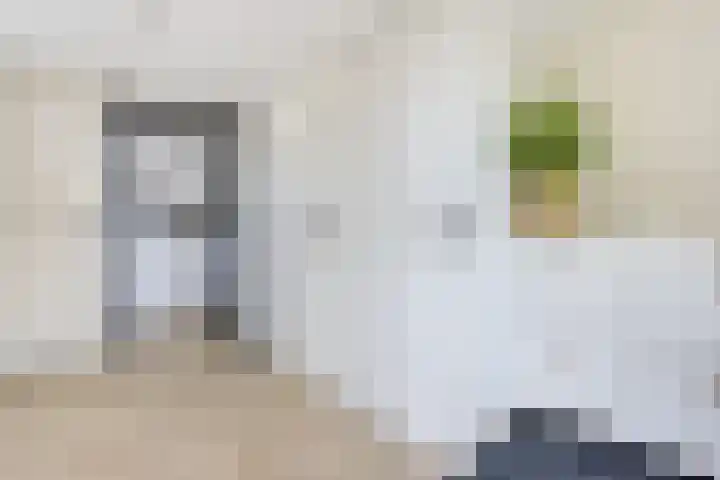 Pealskar 40 Joure thumbnail 18