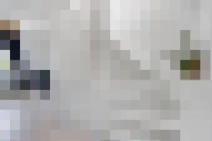 Pealskar 40 Joure thumbnail 19