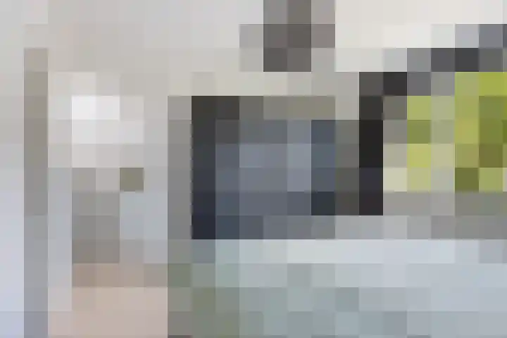 Pealskar 40 Joure thumbnail 20