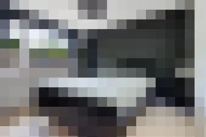 Pealskar 40 Joure thumbnail 21
