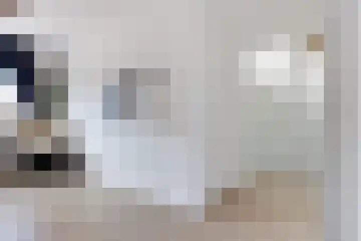 Pealskar 40 Joure thumbnail 24