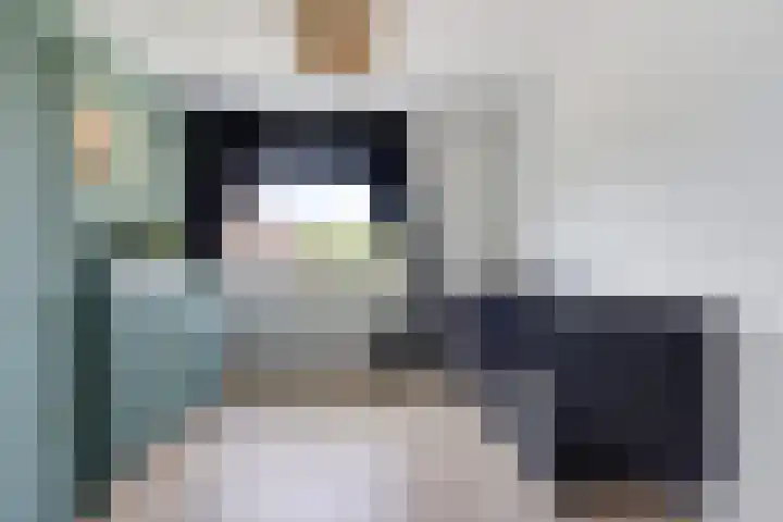 Pealskar 40 Joure thumbnail 27