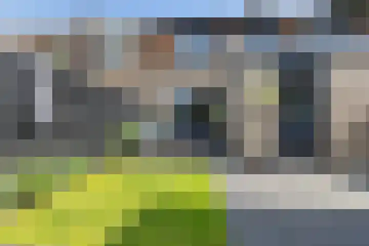 Pealskar 40 Joure thumbnail 35