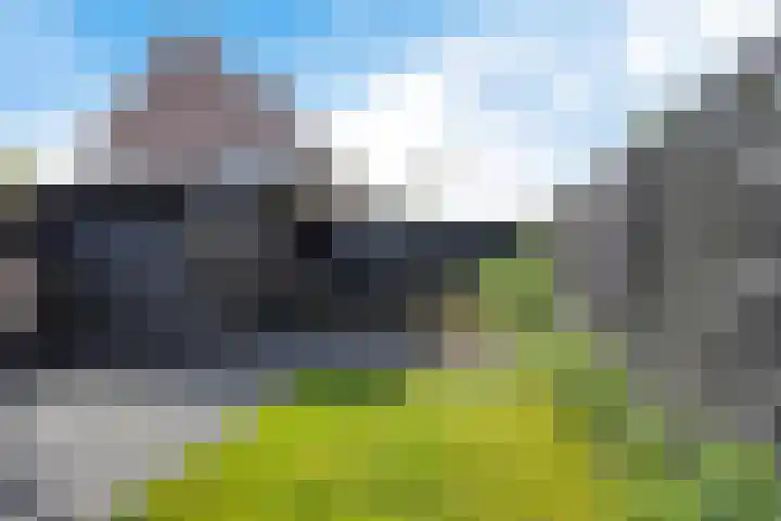 Pealskar 40 Joure thumbnail 37