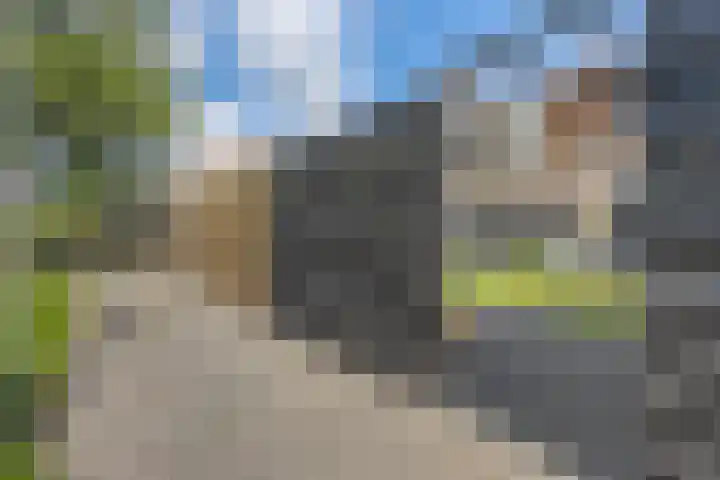 Pealskar 40 Joure thumbnail 38