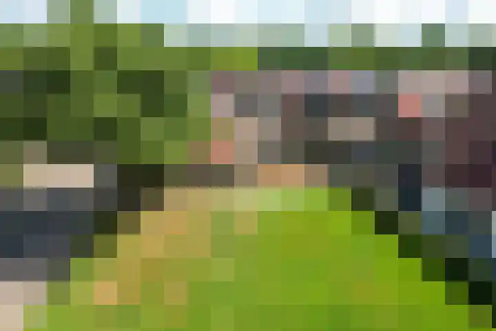 Pealskar 40 Joure thumbnail 39