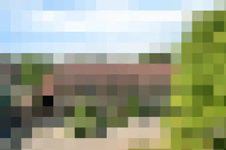 Pealskar 40 Joure thumbnail 40