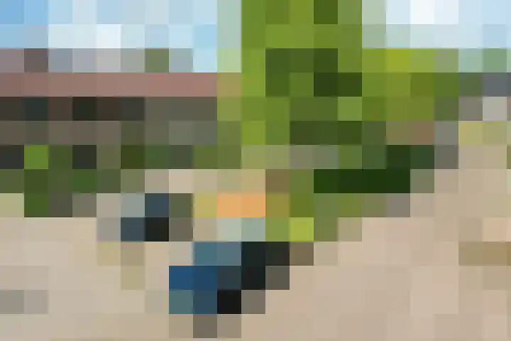 Pealskar 40 Joure thumbnail 42