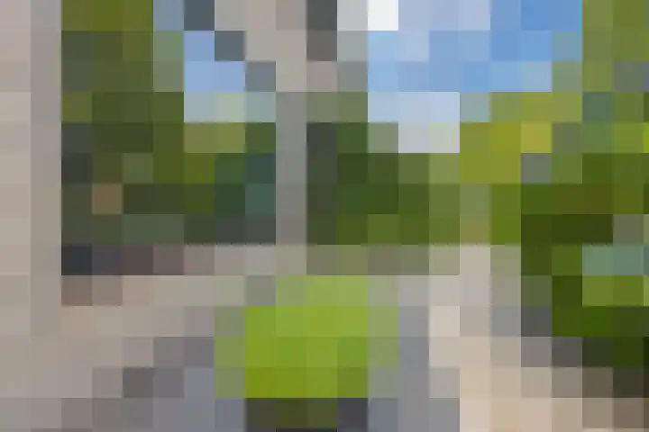 Pealskar 40 Joure thumbnail 45