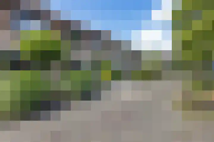 Pealskar 40 Joure thumbnail 46