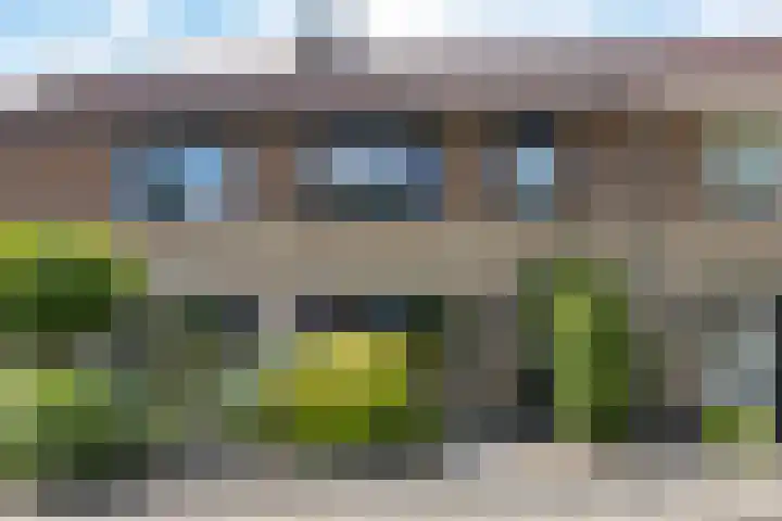 Pealskar 40 Joure thumbnail 47