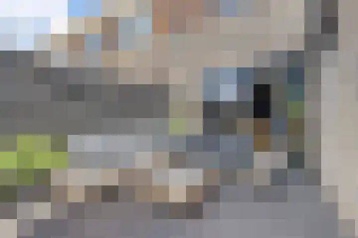 Pealskar 40 Joure thumbnail 5