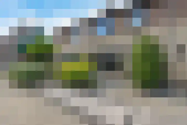 Pealskar 40 Joure thumbnail 6