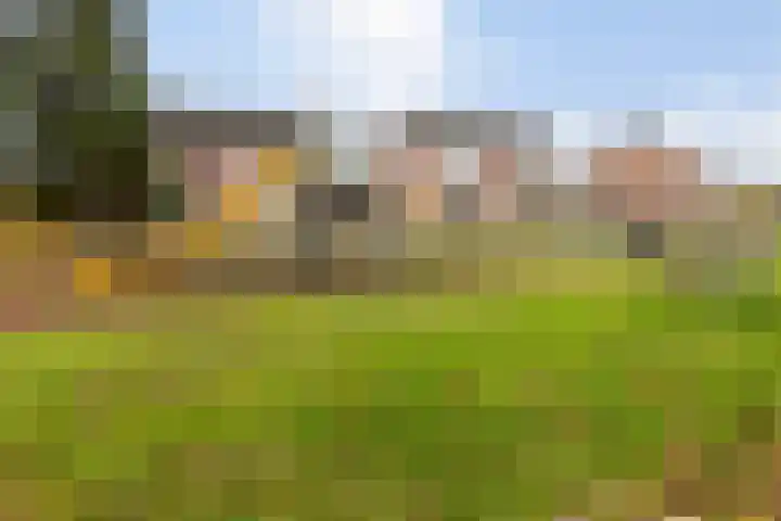 Peeberg 67 Ossendrecht thumbnail 34