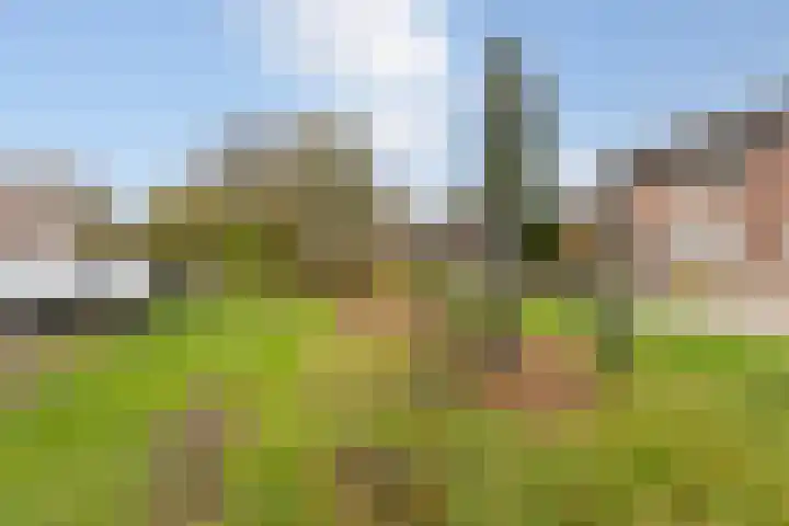 Peeberg 67 Ossendrecht thumbnail 36