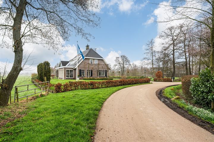 Peebos 1 in Opende foto