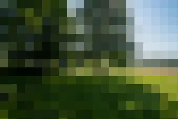 Peeldijk 22 Milheeze thumbnail 47
