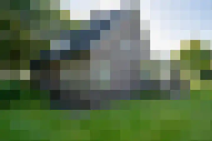 Peeldijk 22 Milheeze thumbnail 8