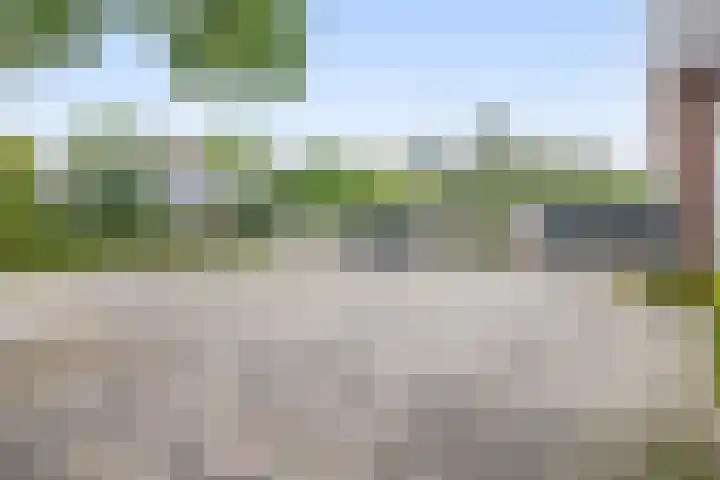 Peeleik 17 Helmond thumbnail 10