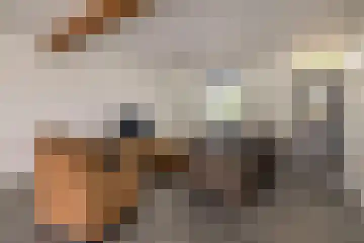 Peeleik 17 Helmond thumbnail 15
