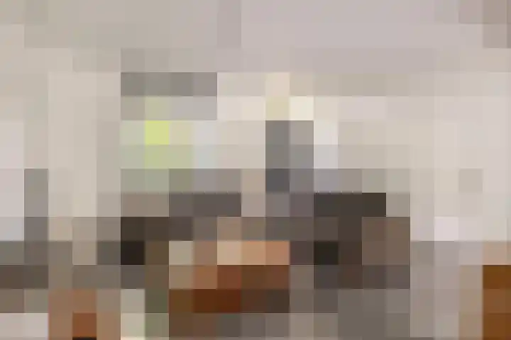 Peeleik 17 Helmond thumbnail 16