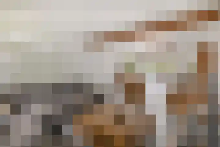 Peeleik 17 Helmond thumbnail 17