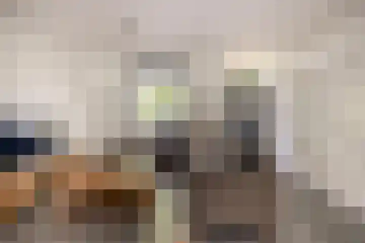 Peeleik 17 Helmond thumbnail 18