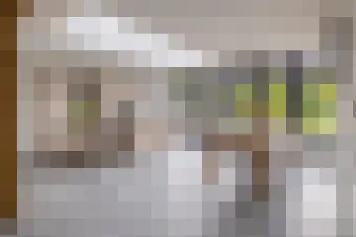 Peeleik 17 Helmond thumbnail 20