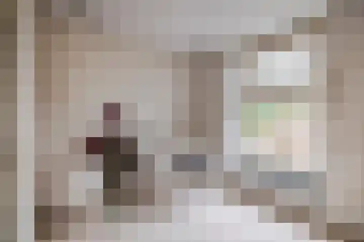 Peeleik 17 Helmond thumbnail 32