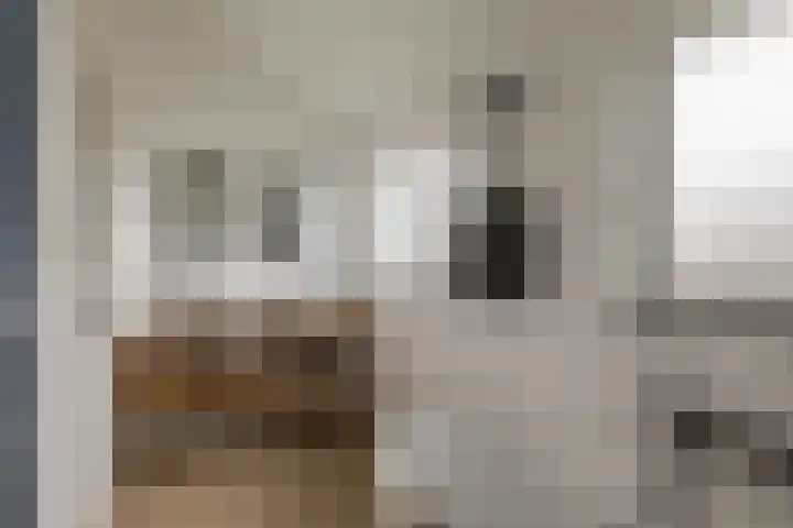Peeleik 17 Helmond thumbnail 4