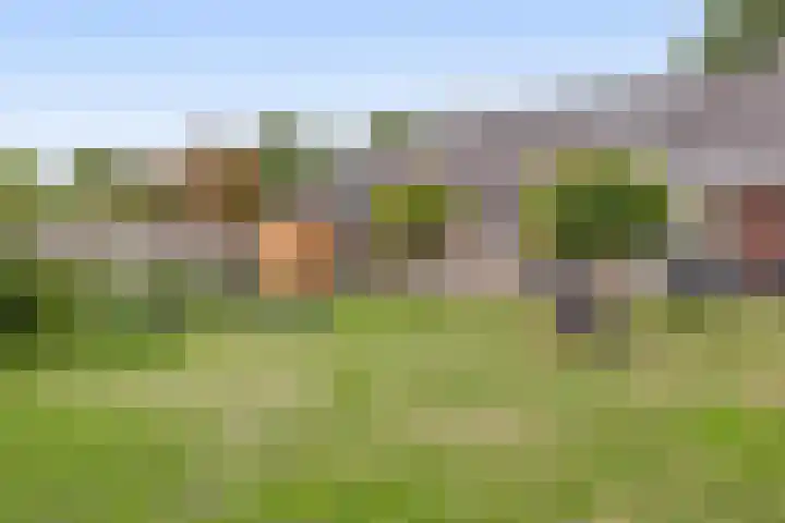 Peeleik 17 Helmond thumbnail 46