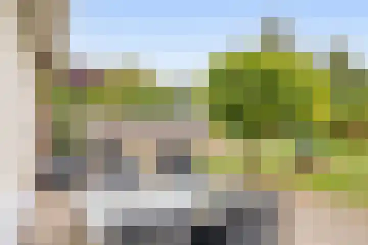 Peeleik 17 Helmond thumbnail 48
