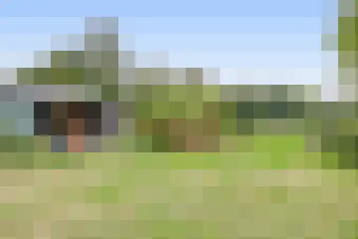 Peeleik 17 Helmond thumbnail 52