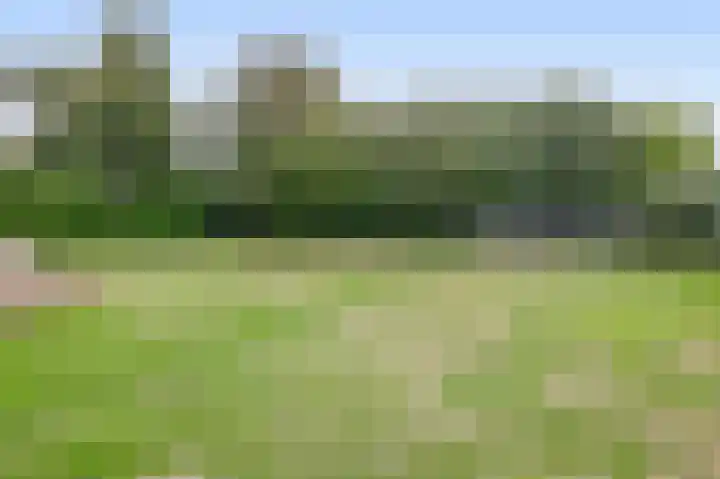 Peeleik 17 Helmond thumbnail 53