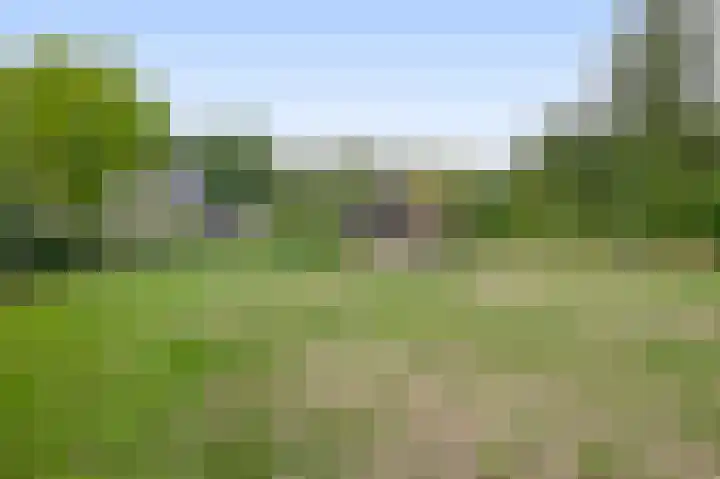 Peeleik 17 Helmond thumbnail 54