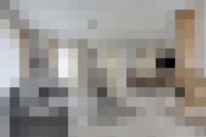 Peeleik 23 A Helmond thumbnail 18