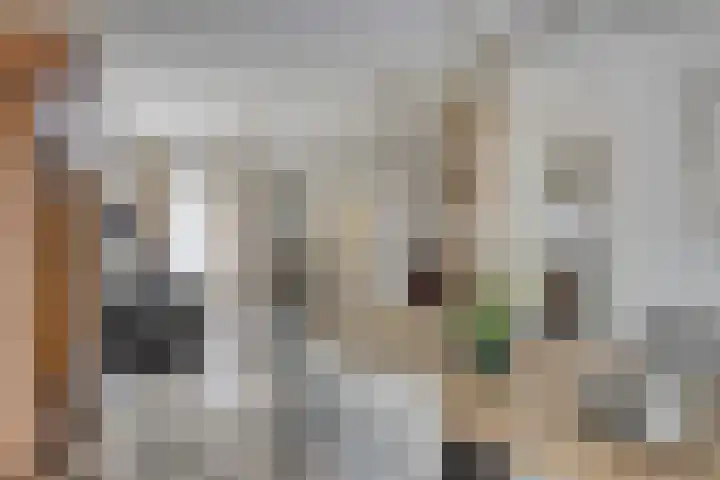 Peeleik 23 A Helmond thumbnail 21