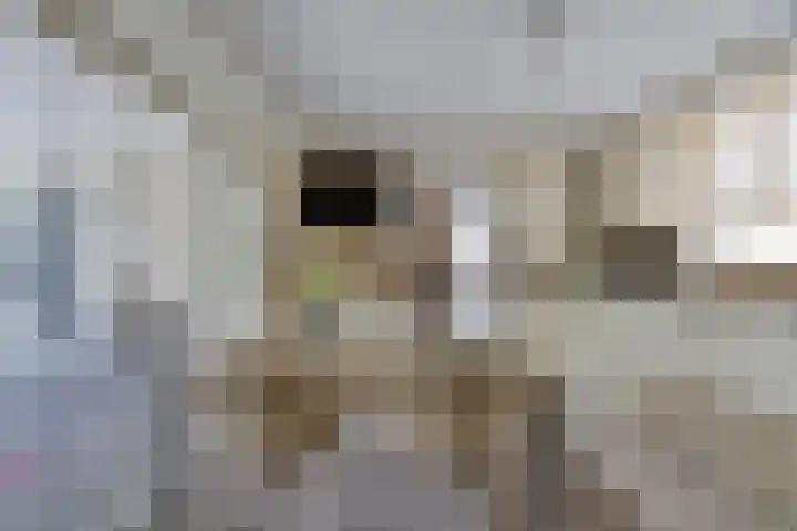 Peeleik 23 A Helmond thumbnail 26