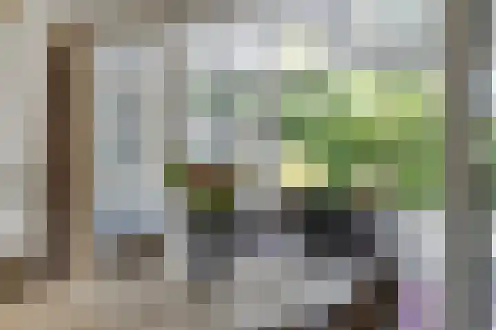 Peeleik 23 A Helmond thumbnail 27